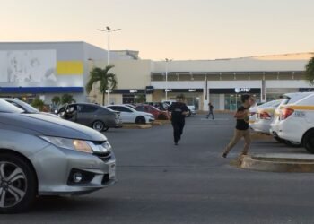 AFUERA DE PLAZA LAS AMÉRICAS: Ataque de abejas africanizadas deja varios heridos en Chetumal