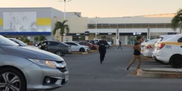 AFUERA DE PLAZA LAS AMÉRICAS: Ataque de abejas africanizadas deja varios heridos en Chetumal