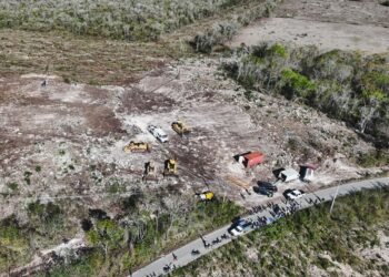 DESMONTE ILEGAL: Clausura Profepa obras en predio de Tekax, Yucatán