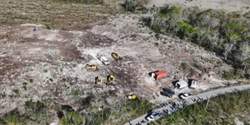 DESMONTE ILEGAL: Clausura Profepa obras en predio de Tekax, Yucatán