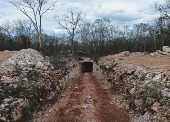 Clausura Profepa obra turística en Abalá, Yucatán por daños a selva y cenote