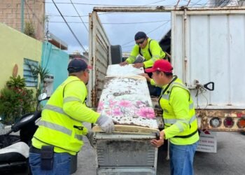 DESCACHARRIZACIÓN: Refuerzan acciones contra el dengue en Isla Mujeres