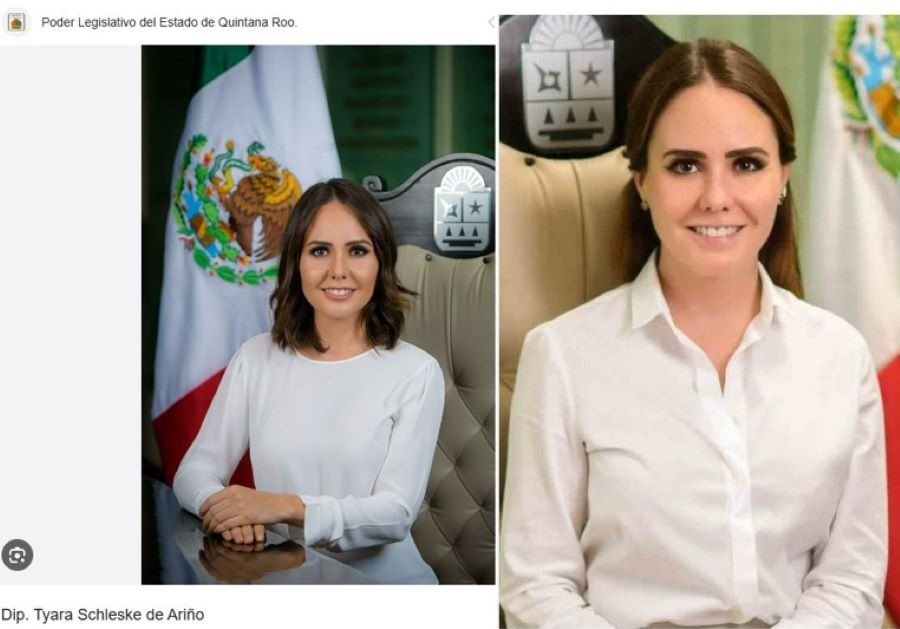 DIPUTADA TYARA
