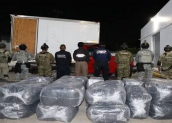 Decomisan casi 500 kilos de droga en Huimanguillo; hay un detenido