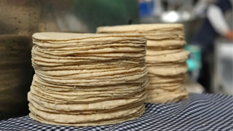 Estabilidad del precio de la tortilla garantiza soberanía alimentaria