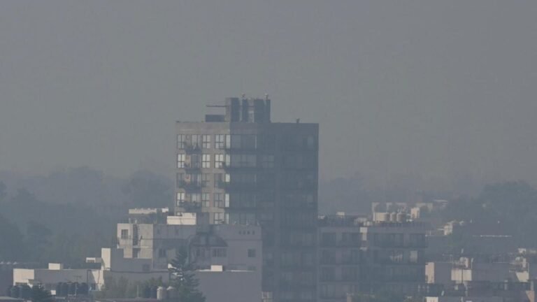 Fase I de Contingencia Ambiental activa el programa Doble Hoy No Circula para este domingo 26 de abril