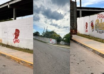 ALCALDE DE MORENA: «El puño del senador Gino no es una falta de respeto, es un tema del partido” (VIDEO)