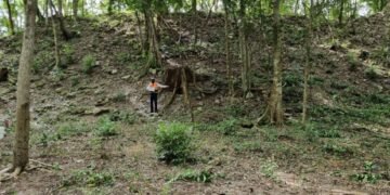 EL JEFECIÑO: Registra INAH nuevo sitio arqueológico monumental en QR