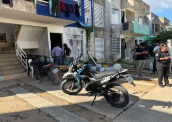 CRUELDAD ANIMAL: Denuncian agresión a perrita en Vista Real II