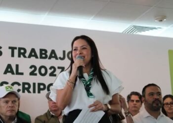 PVEM: "Vamos solos" por la gubernatura de SLP 7 PVEM: «Vamos solos» por la gubernatura de SLP