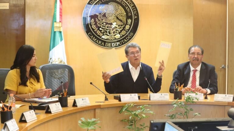 Perfiles vinculados al oficialismo consolidan posiciones en las quintetas definitivas para el INE