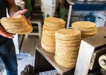 ENTRE 2 Y 4 PESOS POR KILO: Aumento generalizado en precio de la tortilla en QR
