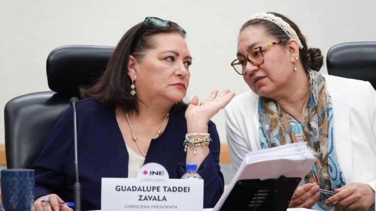 Taddei consolida mando en el INE con estructura de perfiles afines