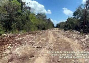 TULUM: Denuncian obras de la Sedena en una zona clausurada