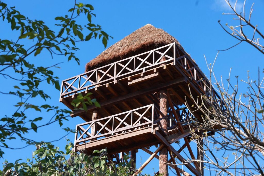 ISLA MUJERES: Invitan a disfrutar del Parque Hacienda Mundaca 1 WhatsApp Image 2026 04 04 at 12.38.46 PM 2