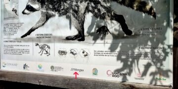 FOCOS ROJOS: Alertan activistas por presencia de J.P. Morgan en programas ambientales de Cozumel