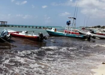 Investigan hallazgo de hombre sin vida en playa de Playa del Carmen
