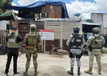 CATEOS SIMULTÁNEOS: Detienen a cinco personas y aseguran droga en PDC, Chetumal y Cancún