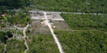 Catean predio inmobiliario en la Ruta de los Cenotes por posibles delitos ambientales