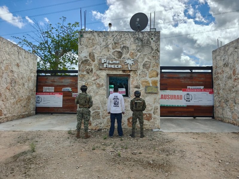 WhatsApp Image 2026 04 14 at 2.01.20 PM