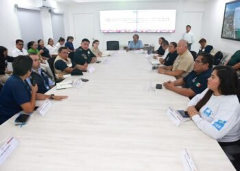 Instala Isla Mujeres para proteger a la tortuga marina en la temporada 2026
