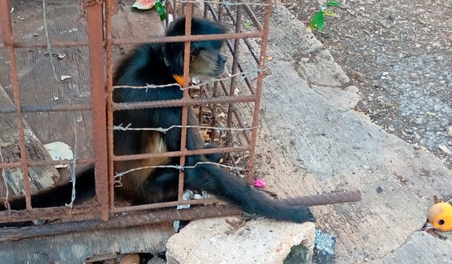 WhatsApp Image 2026 04 17 at 1.54.21 PM 1