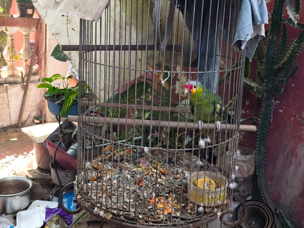 WhatsApp Image 2026 04 17 at 1.54.21 PM