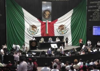 TRAS CASO «XIBALBÁ»: Regulará QR servicio de incineración de animales