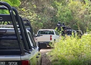 Hallan 5 restos humanos en la carretera Cafetal–Mahahual