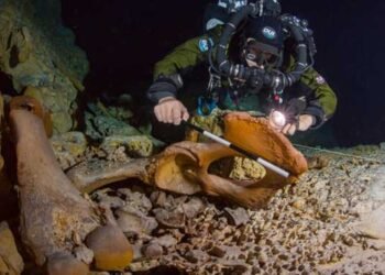 Denuncian daños a restos arqueológicos en el cenote Hoyo Negro tras ingreso ilegal de buzos
