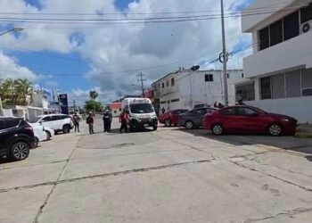 Podaba un árbol cuando recibió una descarga eléctrica afuera de la Segob
