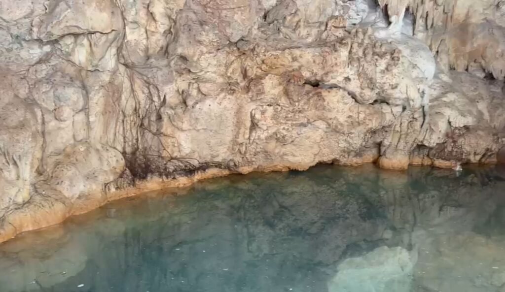 WhatsApp Image 2026 04 25 at 2.09.37 PM 2