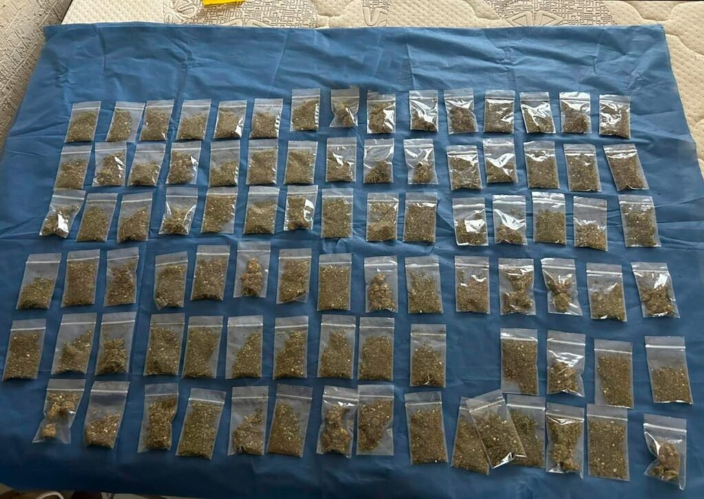 WhatsApp Image 2026 04 29 at 1.04.24 PM 2