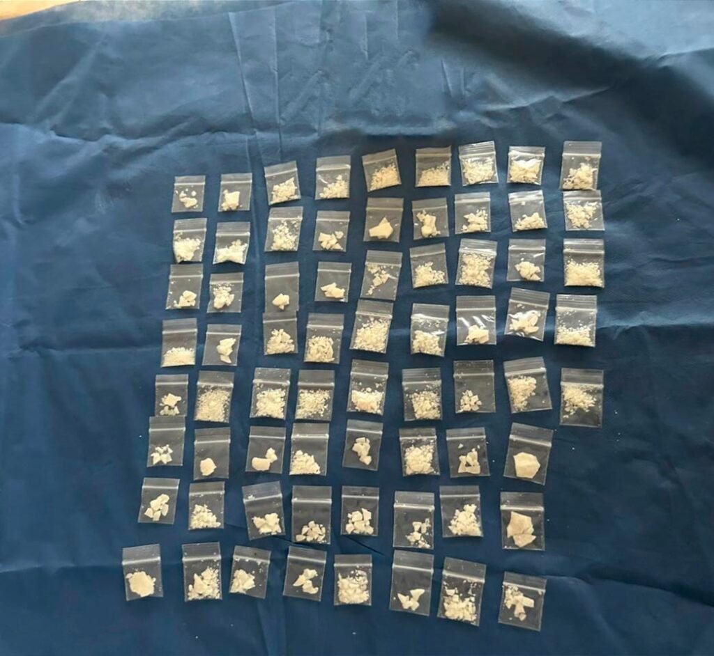 WhatsApp Image 2026 04 29 at 1.04.24 PM 3