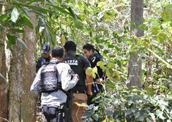 BÚSQUEDA EN BACALAR: Localizan cuerpo sin vida durante operativo de Madres Buscadoras