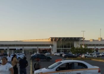 PLAZA LAS AMÉRICAS: Reabren zona acordonada tras ataque de abejas