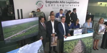 TRAMO 5: Pide Mayuli detener operación del Tren Maya por riesgos estructurales y ambientales (VIDEO)