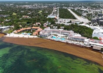 Sargazo pone en alerta roja a Playa del Carmen; prevén temporada más intensa en 2026