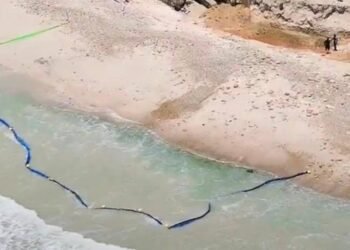 Del Caribe al Pacífico: megaproyectos desatan nuevo conflicto ambiental en Punta Mita