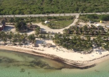 Del Caribe a todo México: crece alarma por daños ambientales de “Perfect Day”