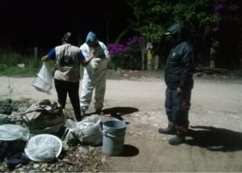 Atacan abejas africanizadas a trabajadores de CAPA