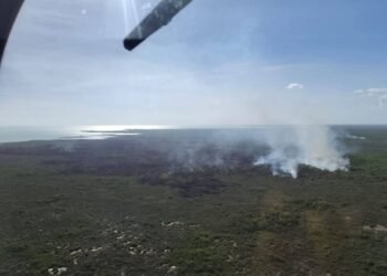 SANTUARIO DEL MANATÍ: Combaten incendio forestal frente a la bahía de Chetumal