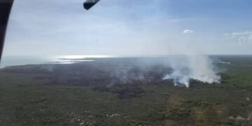 SANTUARIO DEL MANATÍ: Combaten incendio forestal frente a la bahía de Chetumal