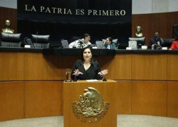 BUSCA CALLAR A OPOSICIÓN: Reforma electoral autoritaria y antidemocrática, reclama Mayuli