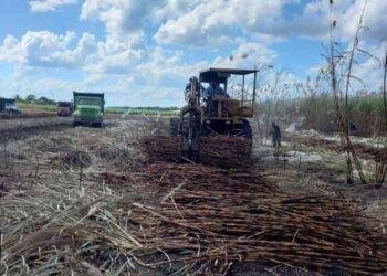 RECTA FINAL DE ZAFRA: Cañeros superan expectativas de producción