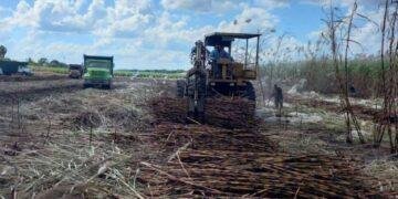 RECTA FINAL DE ZAFRA: Cañeros superan expectativas de producción