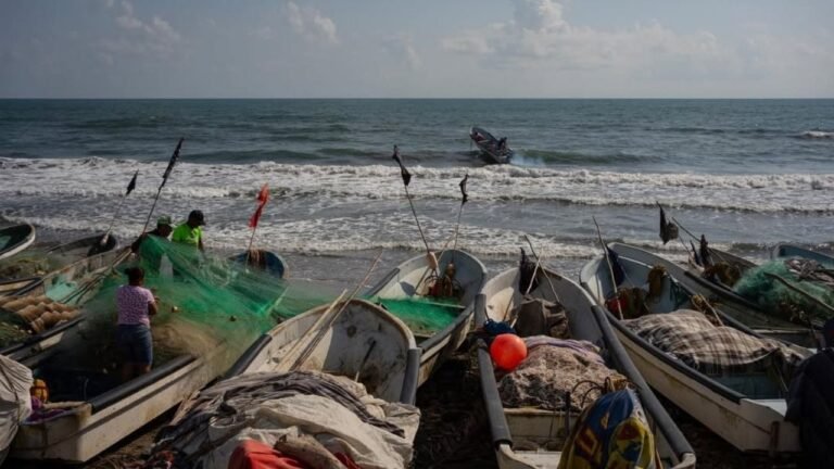 Protección urgente para pescadores de Veracruz tras el desastre de Pemex