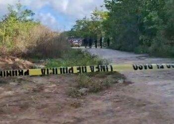 Hallan restos humanos en área verde de la colonia Tres Reyes en Cancún