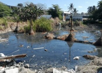 ALERTA GONAGUA: Asentamientos irregulares amenazan la sabana de Chetumal 1 ALERTA GONAGUA: Asentamientos irregulares amenazan la sabana de Chetumal