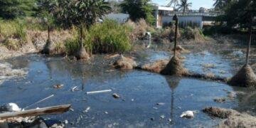 ALERTA GONAGUA: Asentamientos irregulares amenazan la sabana de Chetumal